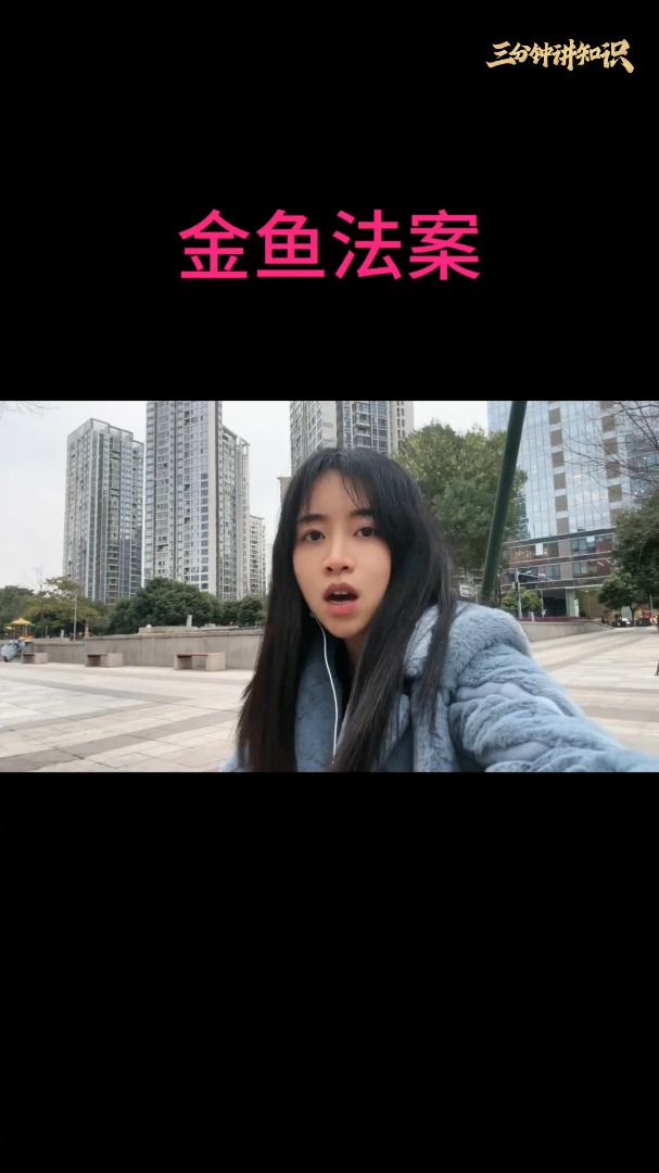 一个金鱼法案的故事,禁止市民把金鱼放在圆形透明鱼缸里饲养