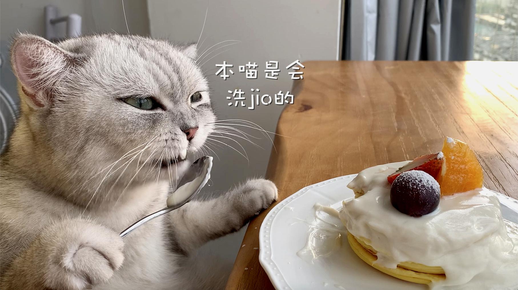 [图]揭秘：猫王做饭是如何洗jio的