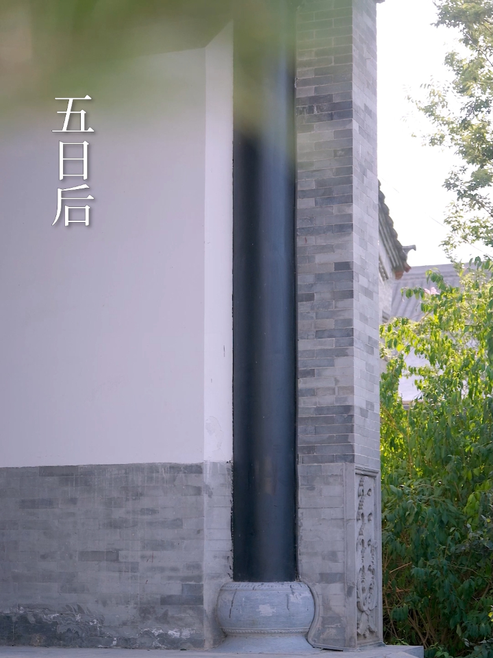 涅槃重生,前夫请伏诛 63
