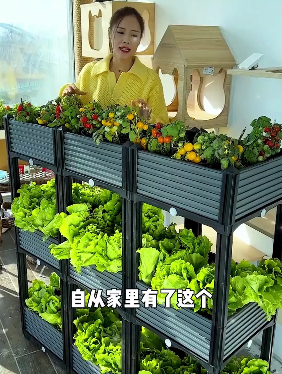 自从有了种植箱,媳妇就彻底解放了天性,在种菜的路上一去不复返