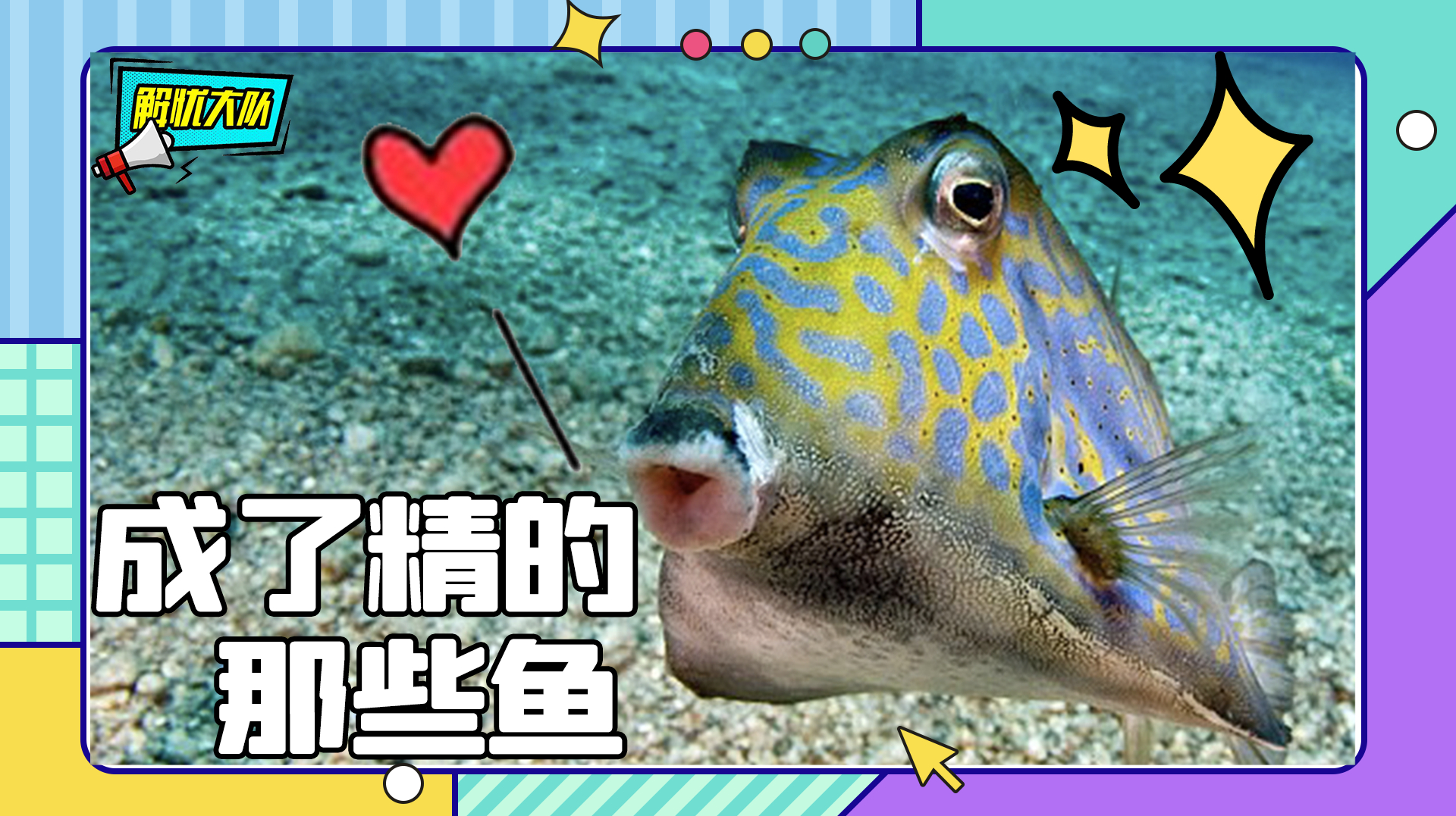人不正经,养的鱼也很皮!这些鱼都要成精了?