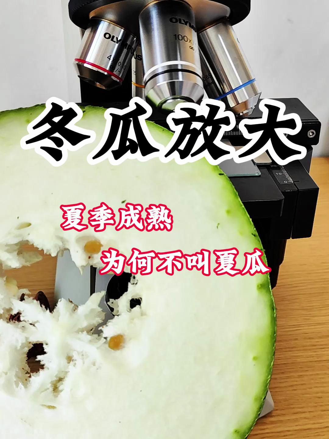 冬瓜明明是夏季成熟的瓜,为什么不叫夏瓜?