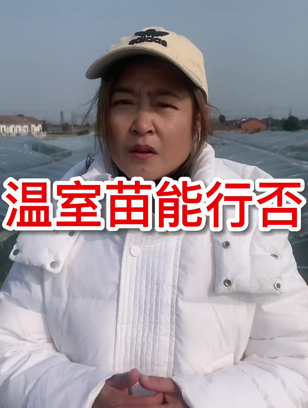 小龙虾养殖,温室苗到底有多高的成活率!
