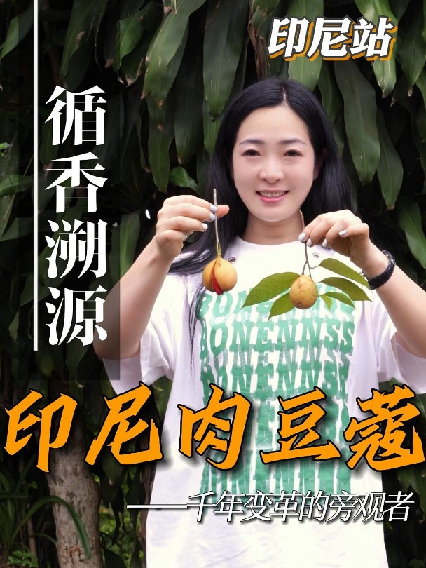 印尼肉豆蔻它究竟有何魔力,让欧亚人如此疯狂