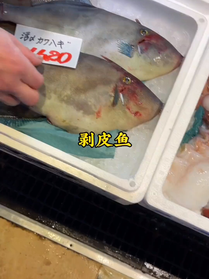 这种剥皮鱼,我说好吃你们信嘛……脸上的一粒是蒜末