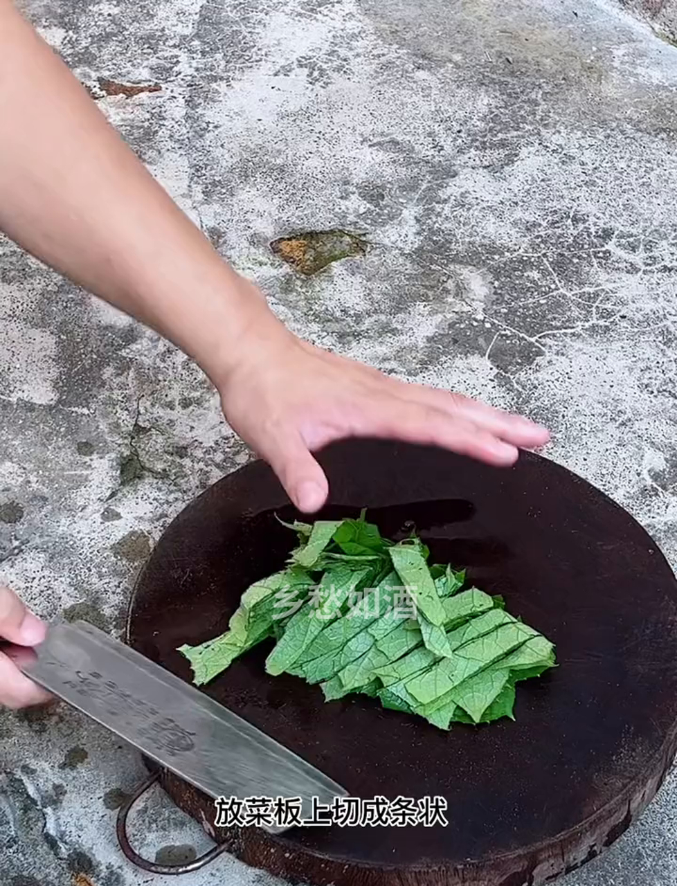 丝瓜叶,就是那种葫芦科丝瓜的绿叶子