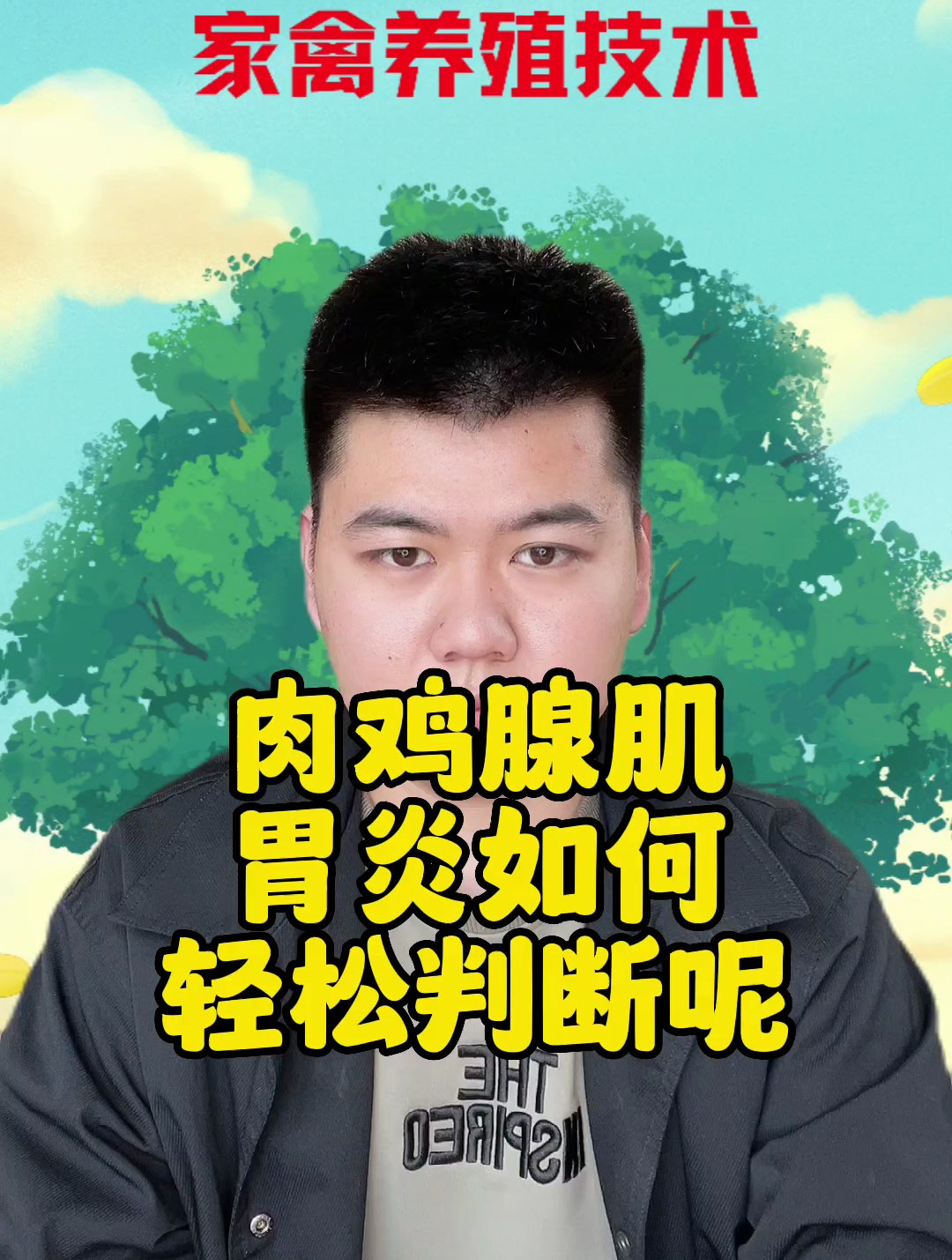 什么是鸡腺肌胃炎?鸡得了腺肌胃炎怎么办?鸡腺肌胃炎什么症状