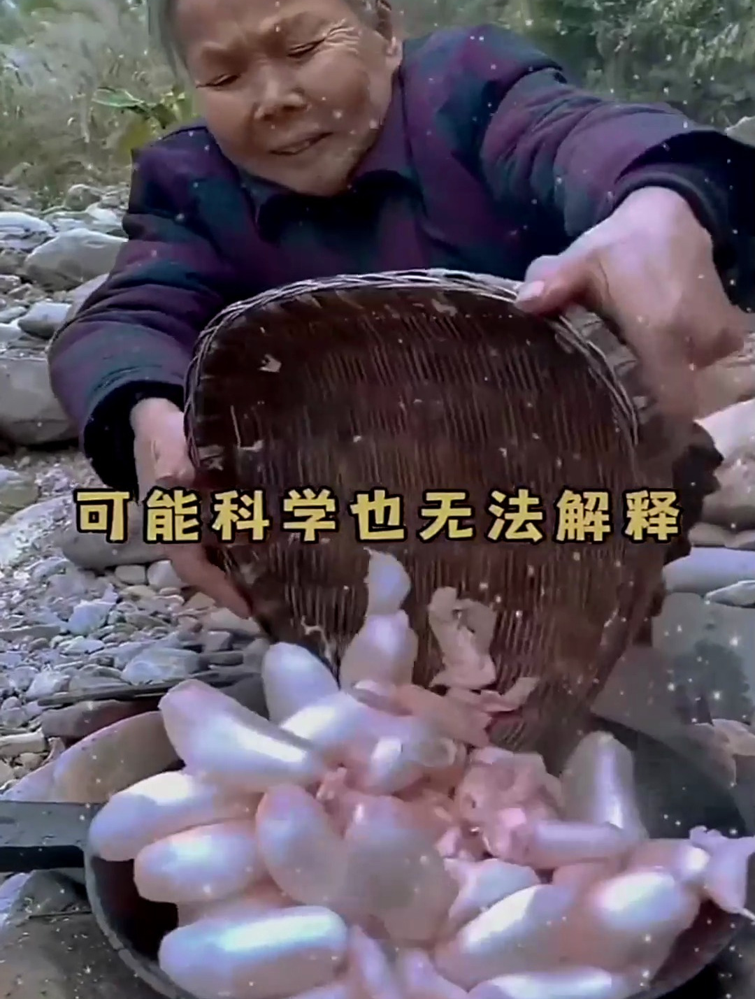 睡不好,学广东人煲莲子猪心汤,养心安神增加心肌营养