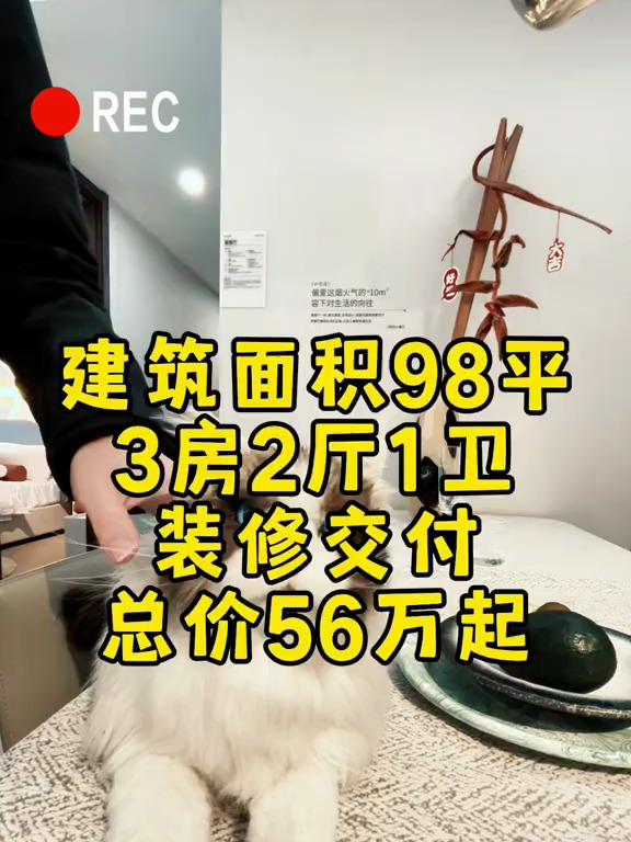 SF11万可以拿下这套带地暖,新风,全屋壁纸,智能马桶的装修房