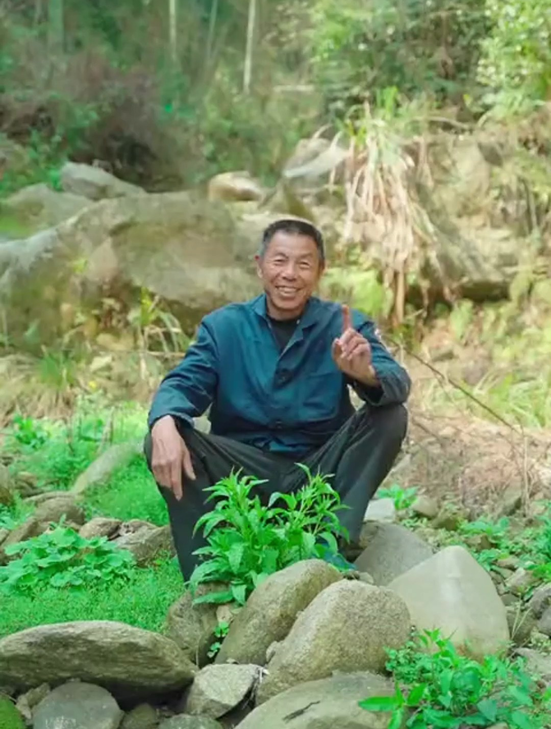 春天又到了吃野菜的季节,很适合宅在家里做各种野菜美食