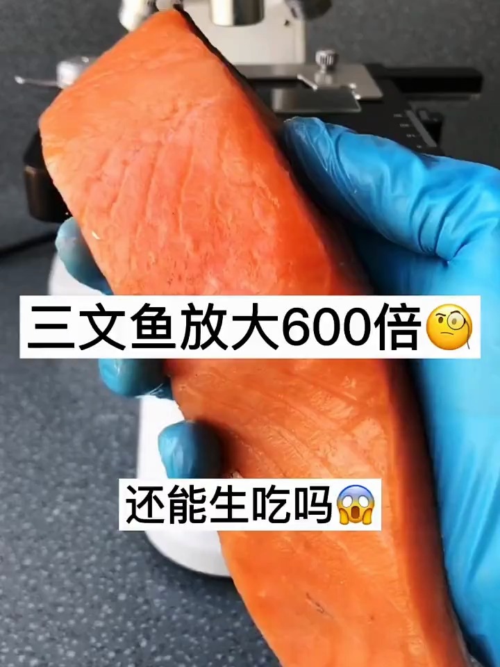 老铁们在吃三文鱼时可以选择零下20度储存条件下冷冻24小时