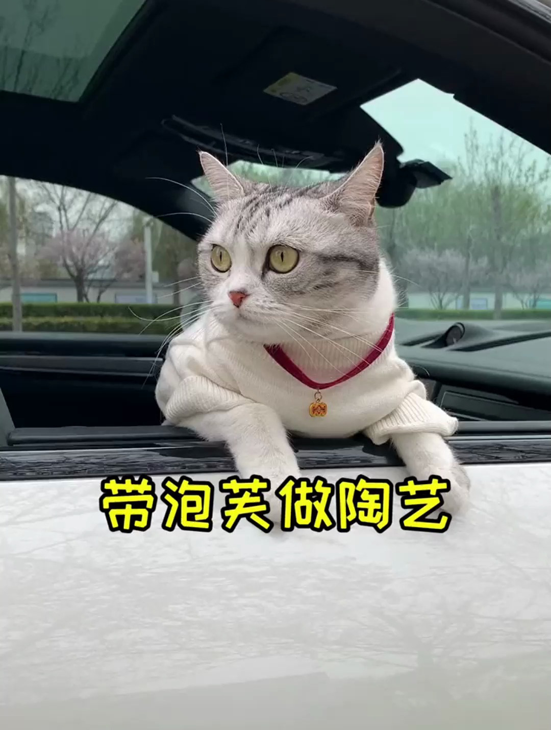 第一次给泡芙做猫碗 有那么点丑