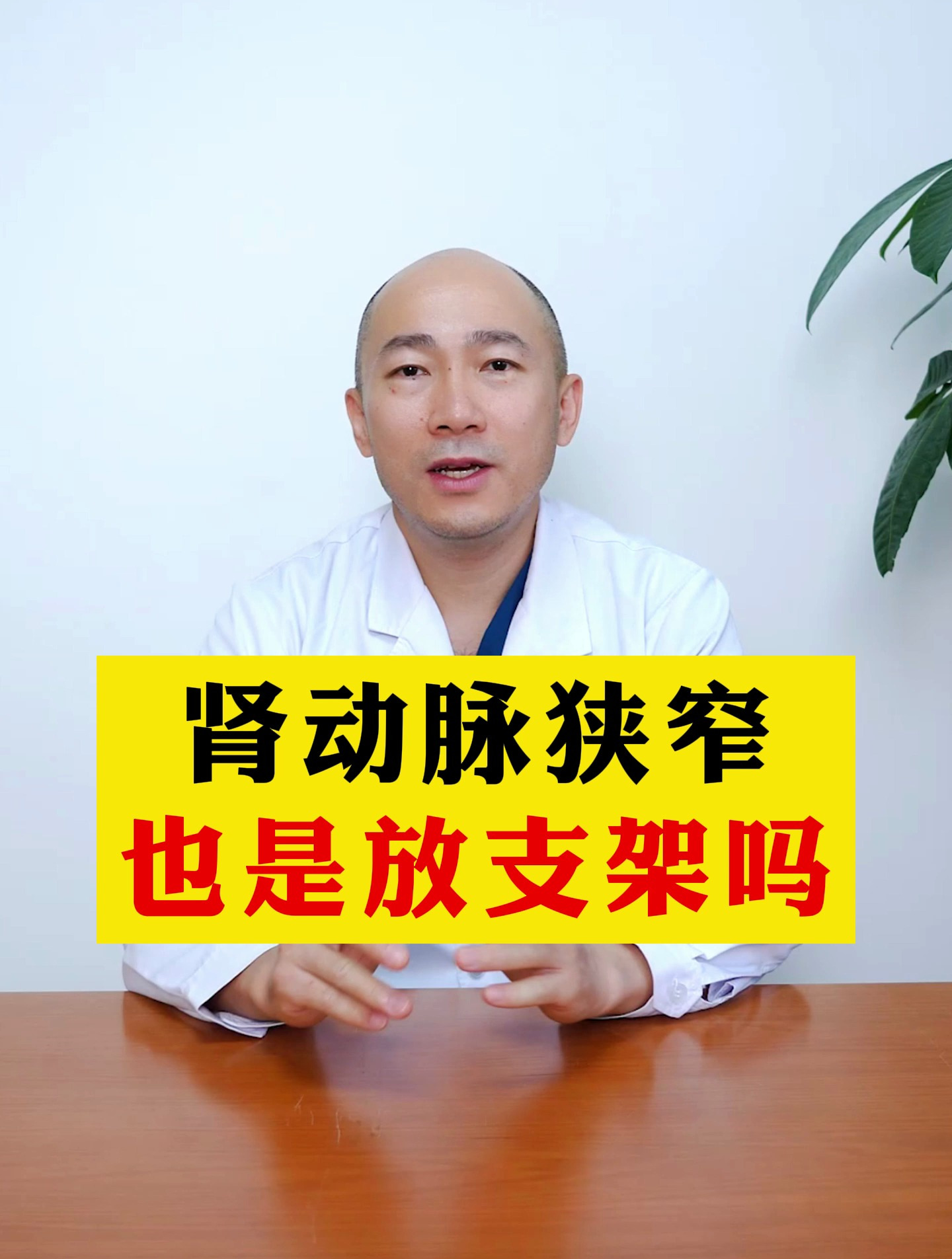 肾动脉狭窄 也是放支架吗?