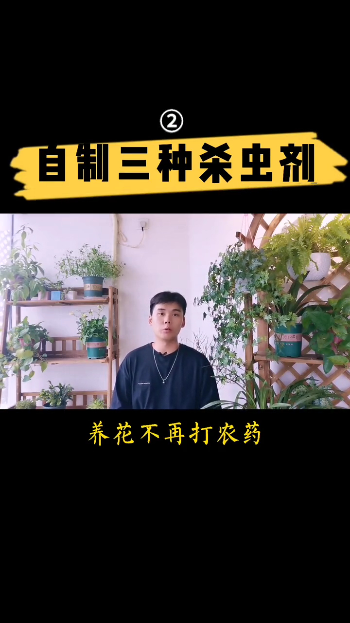 养花种菜不再打农药 不花钱自制杀虫剂