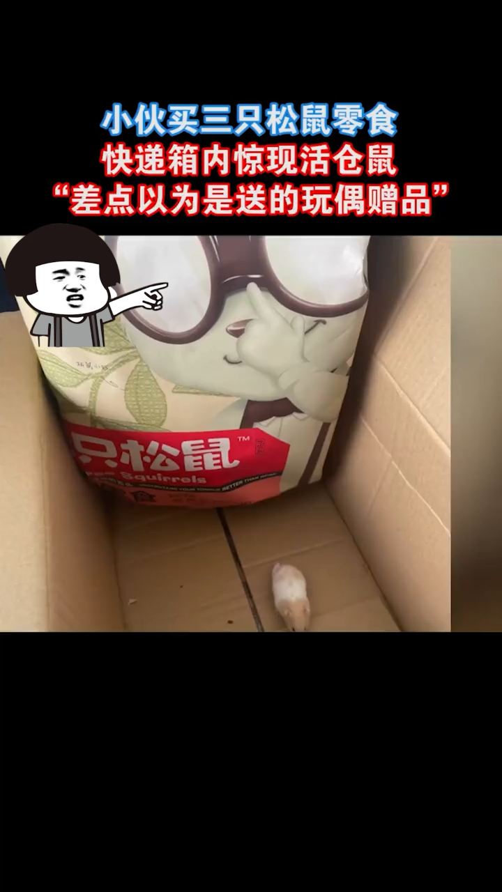小伙买三只松鼠零食,快递箱内现活仓鼠:差点以为是送的玩偶赠品