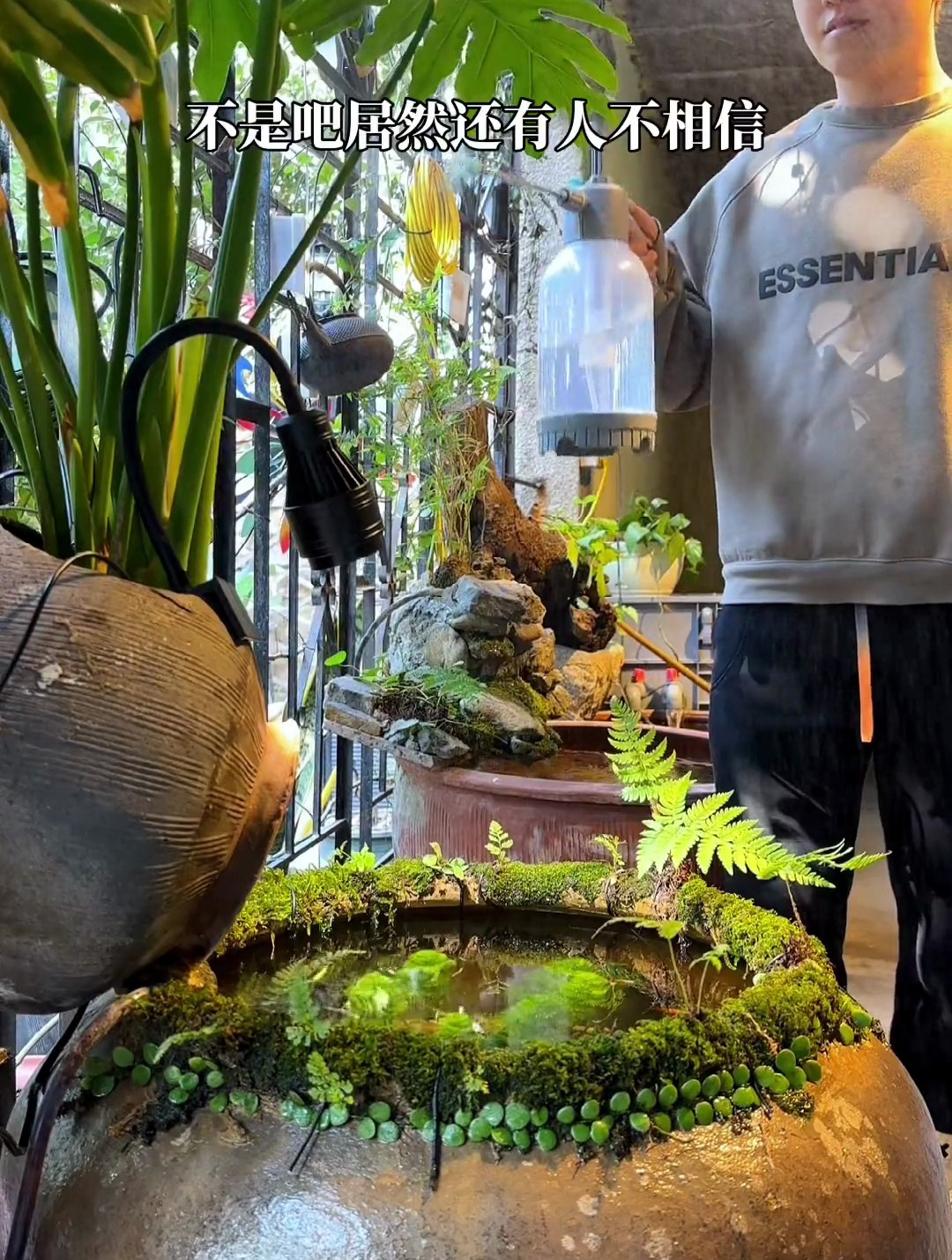 发誓破水缸上的苔藓真的是种的,而且非常简单破水缸变得生机勃勃