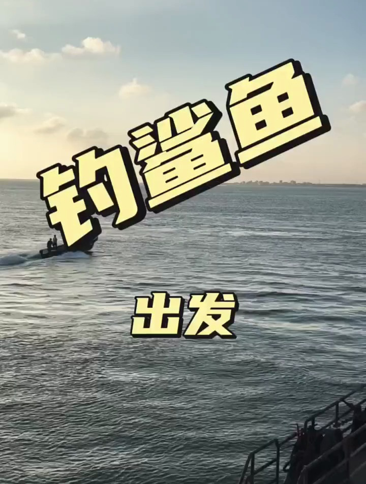 出发,钓鲨鱼海洋生物鲨鱼海钓