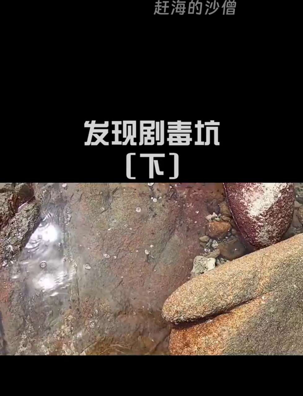 阿明海边探险意外发现毒潭,鲨鱼都遭殃了,太吓人了(下)