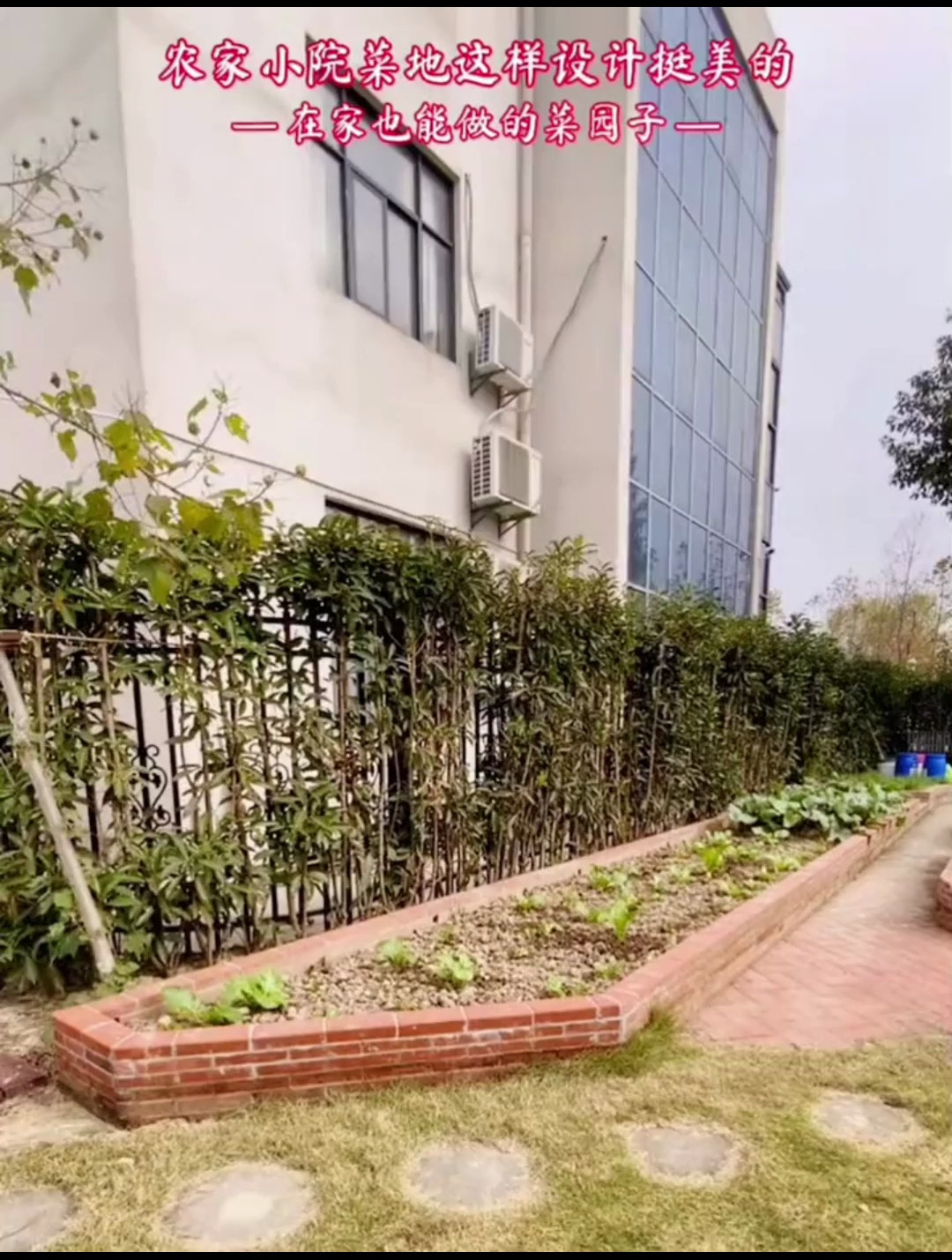今日分享农家菜园子 农家小院菜地这样设计也是不错 您喜欢吗