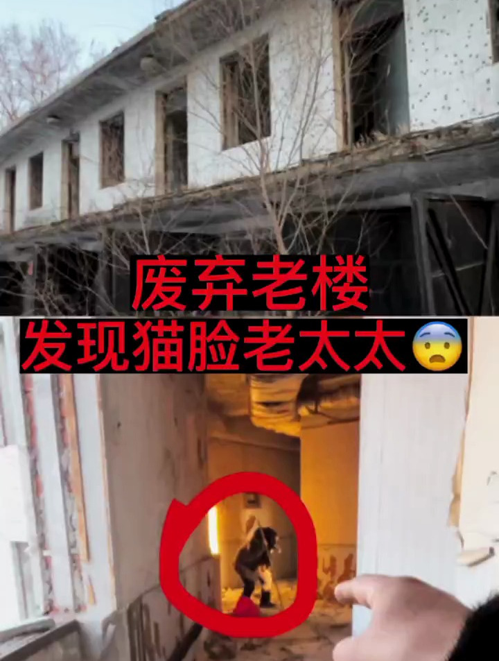 发现了猫脸老太太!