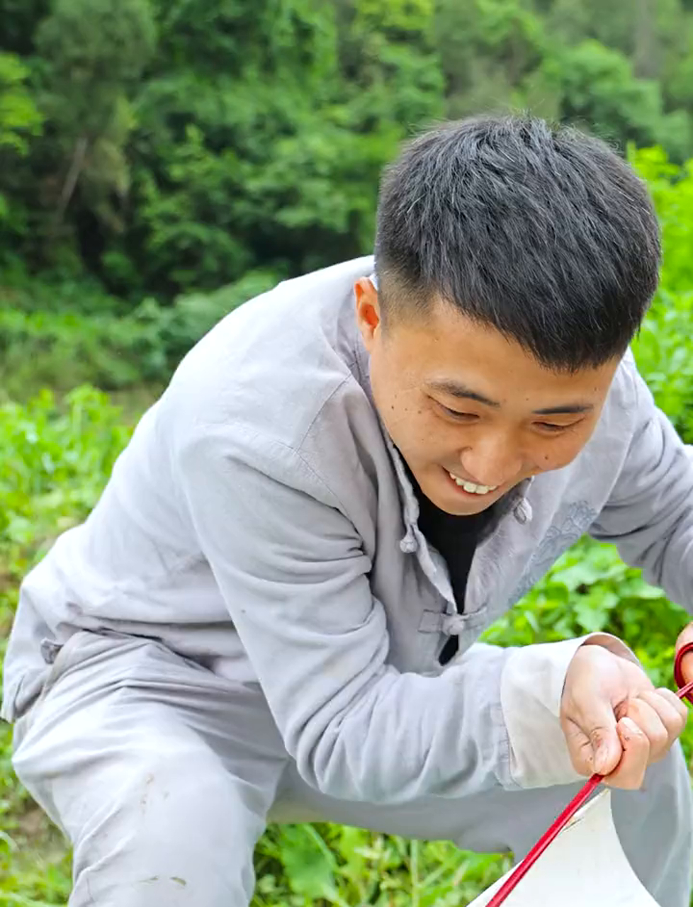 松松做了个陷阱抓了好多龙虾,直接实现龙虾自由啦