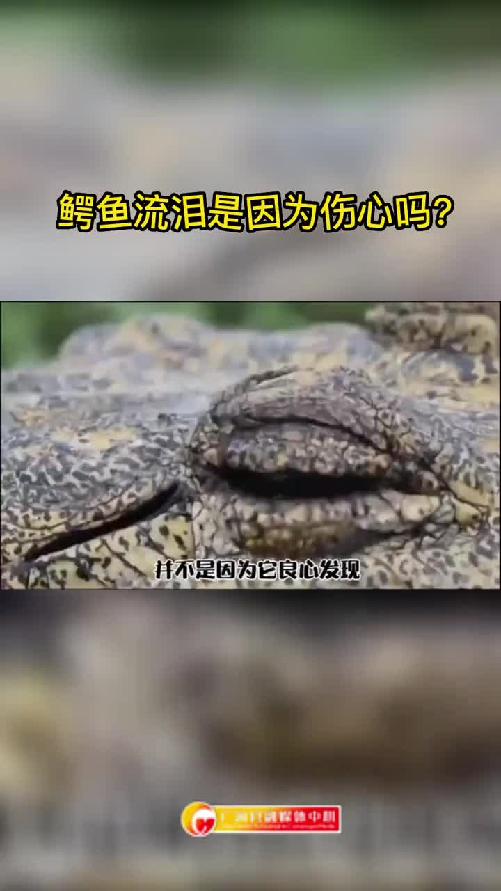 鳄鱼流泪是因为伤心吗?