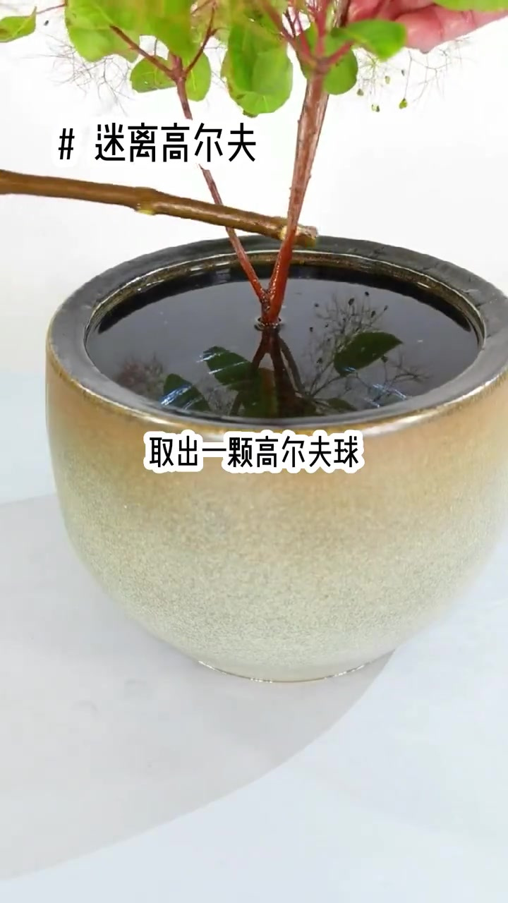 迷离高尔夫 小说推文 每日推文65