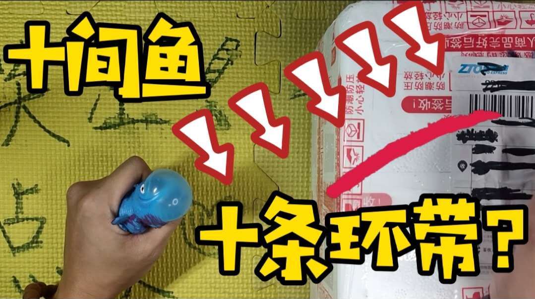 十间鱼果真有10条暗黑色的环带绕身吗?一起见证下!