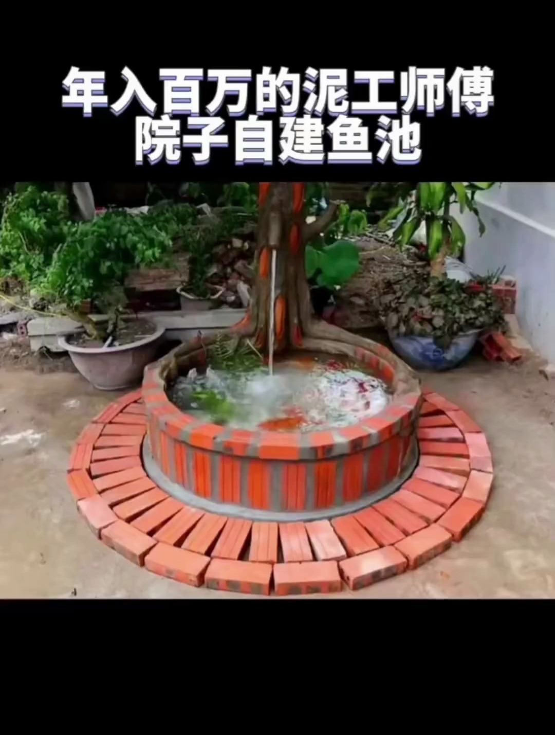 自建鱼池 流水生财