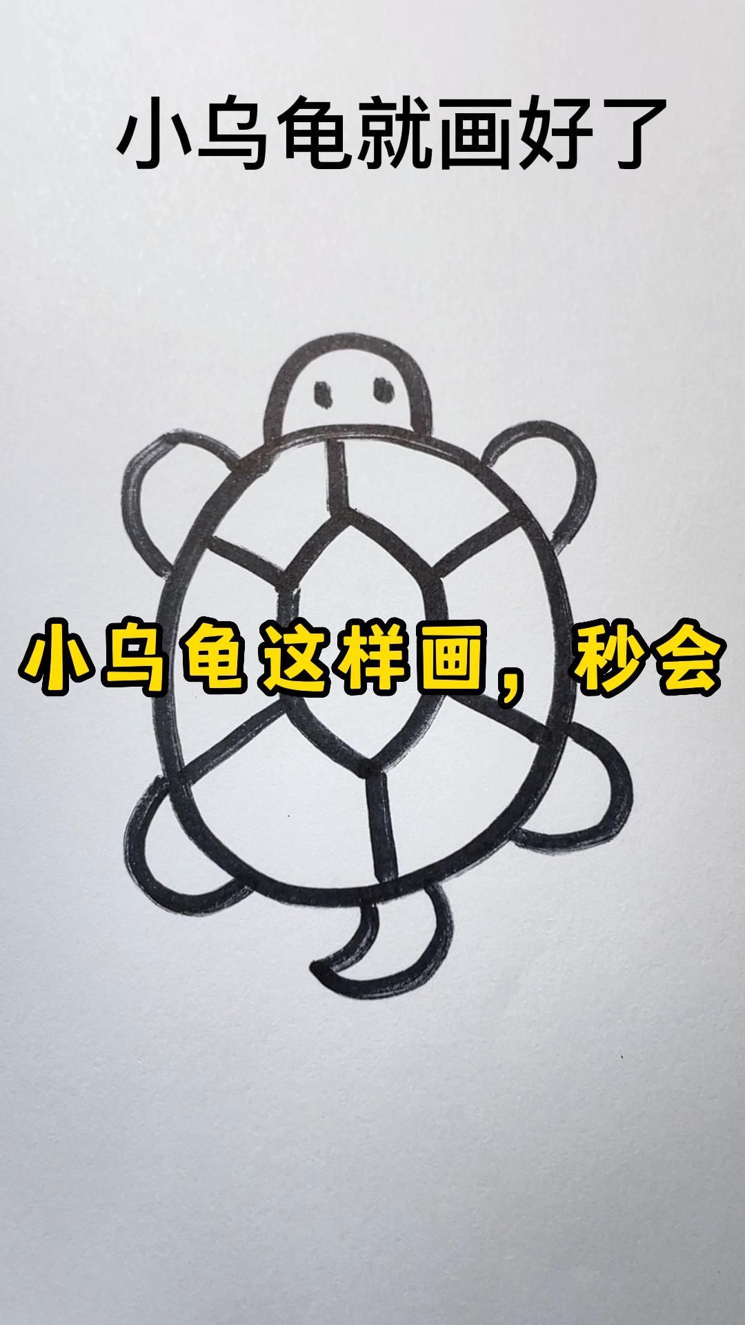 超级简单的小乌龟画法,大白小白画起来~