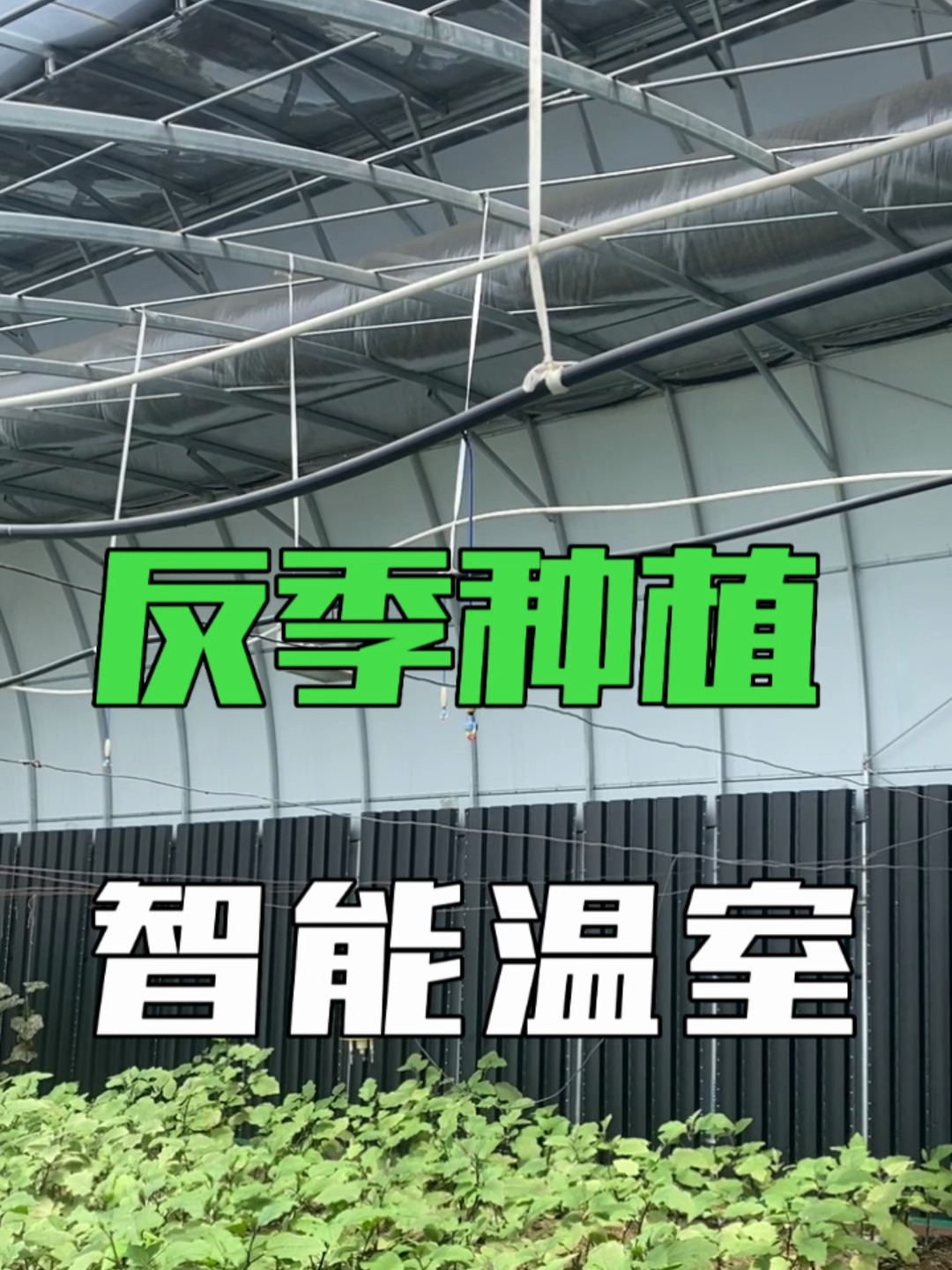 反季节种植智能温室,双层智能温室大棚