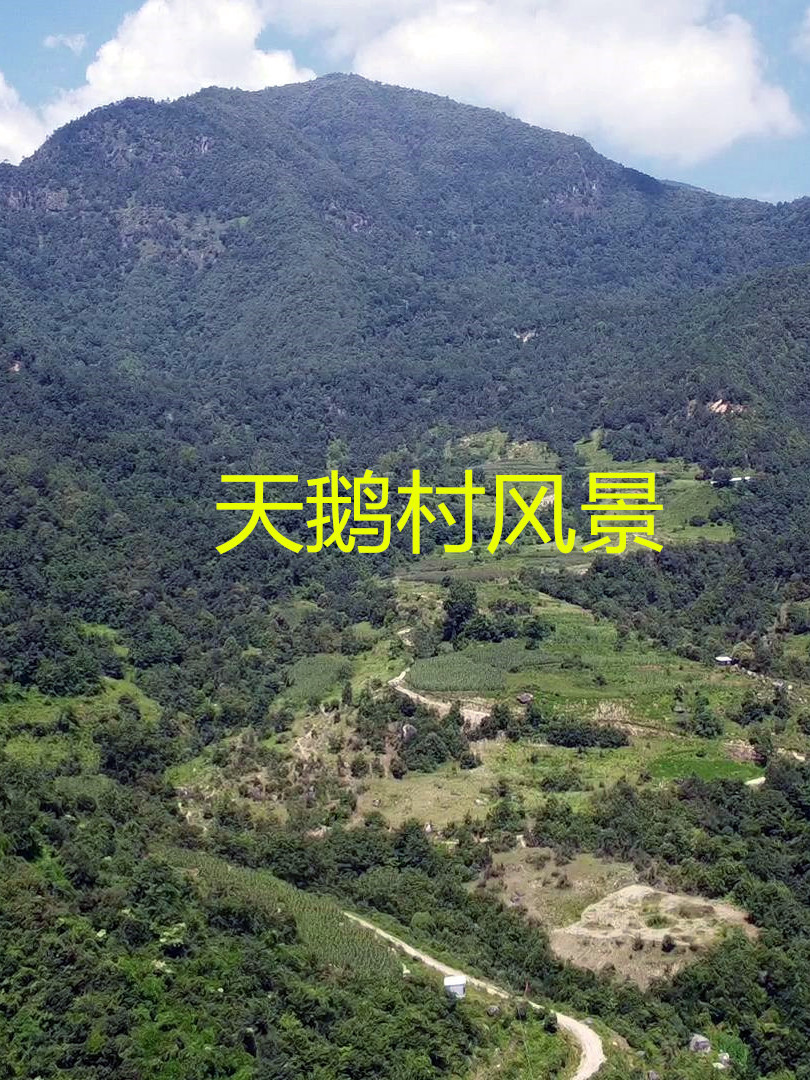 “天鹅抱蛋村”风景欣赏