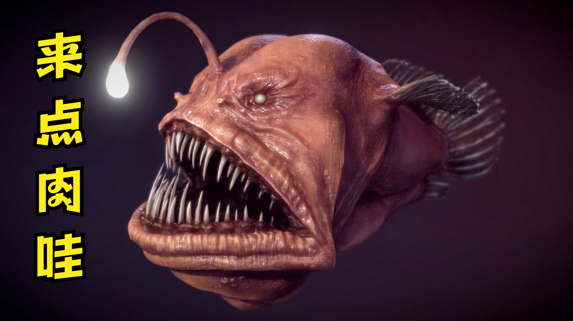 观赏鱼长得丑,天天爱吃肉,进化挺多年,变成一道菜