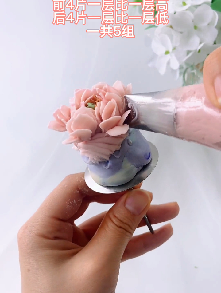 韩式裱花,蛋糕烘焙教学