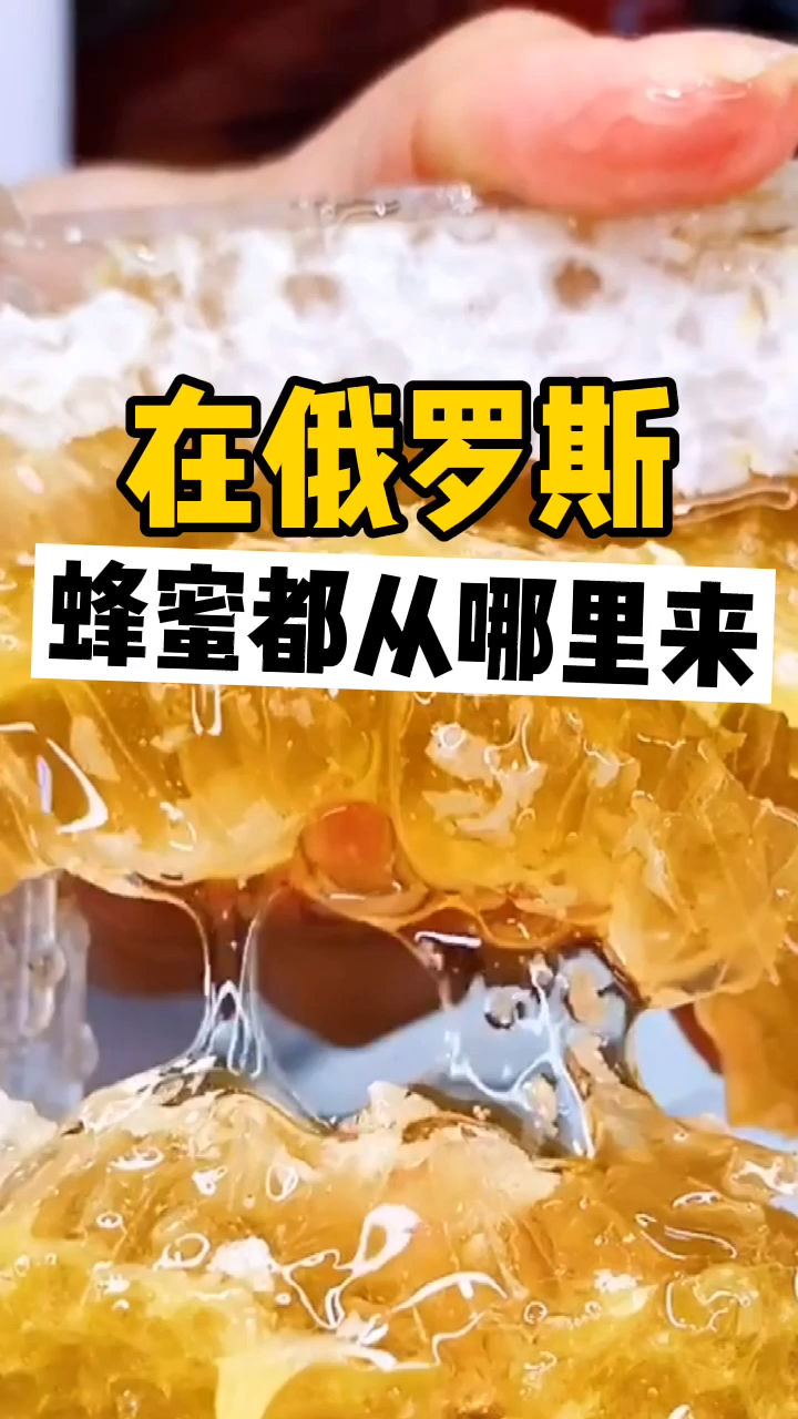 俄罗斯的蜂蜜为啥不敢掺糖?这你要问问蜜蜂同不同意!