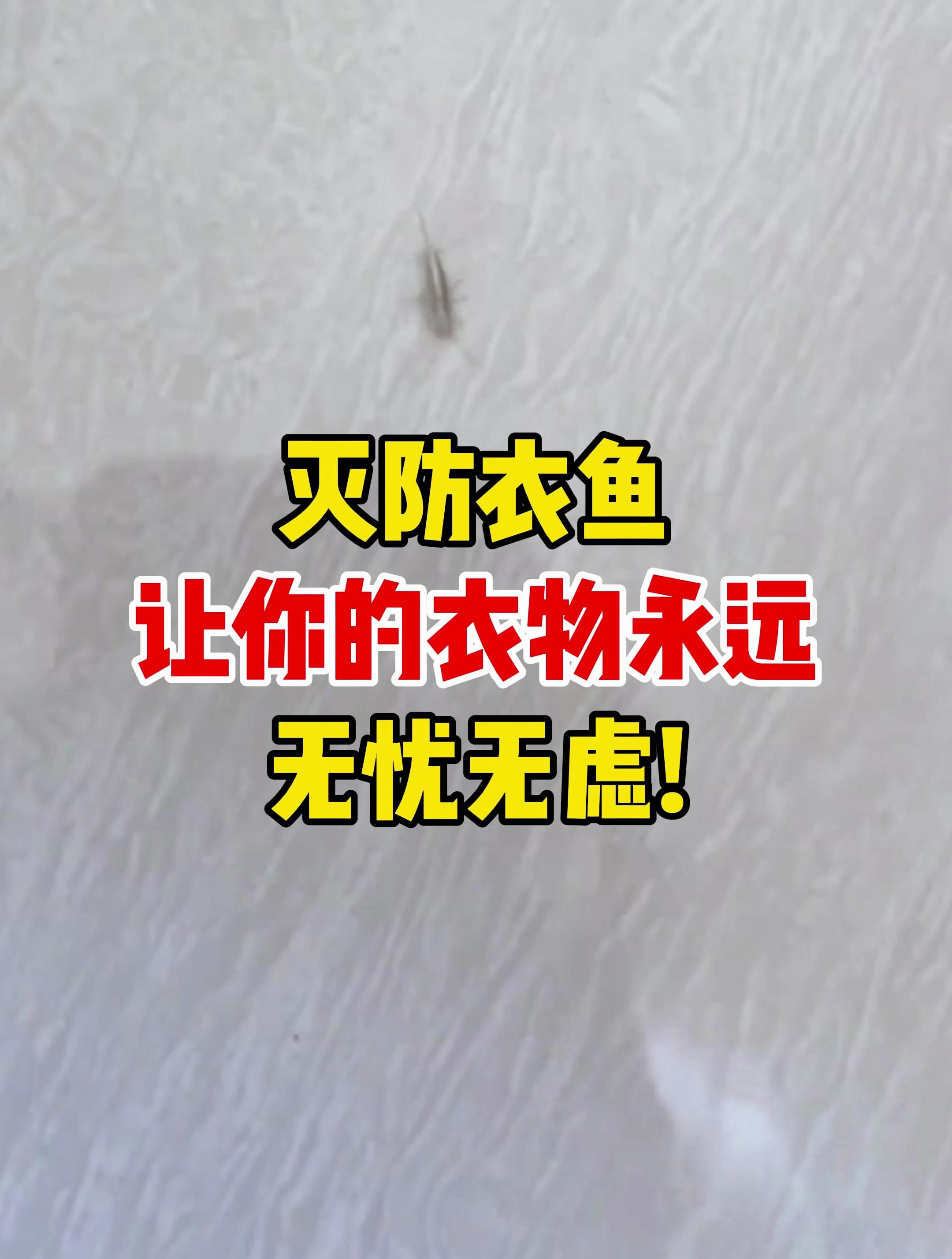 灭防衣鱼,让你的衣物永远无忧无虑!
