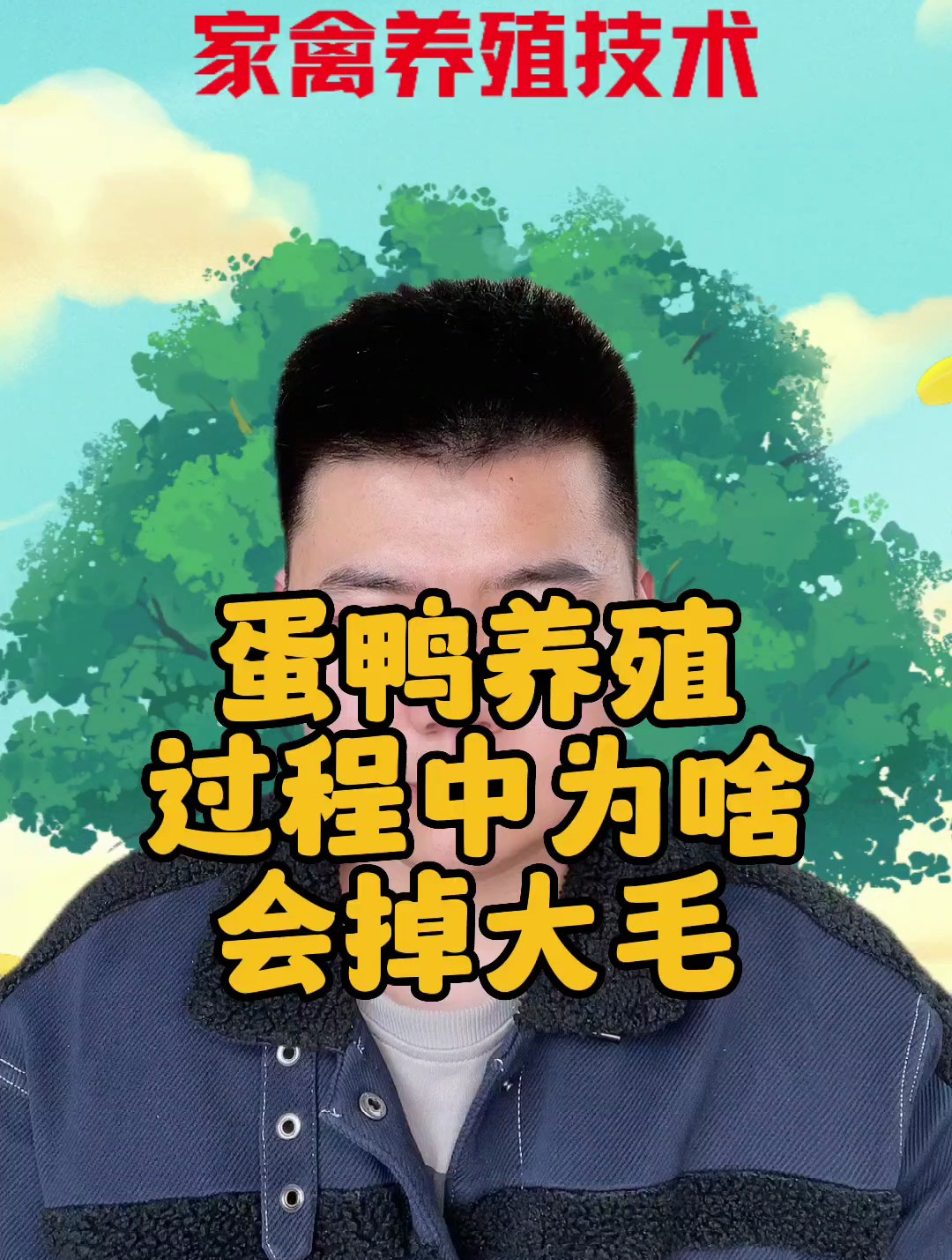 蛋鸭掉大毛的原因 产蛋鸭掉毛是什么原因 鸭子掉大毛怎么办