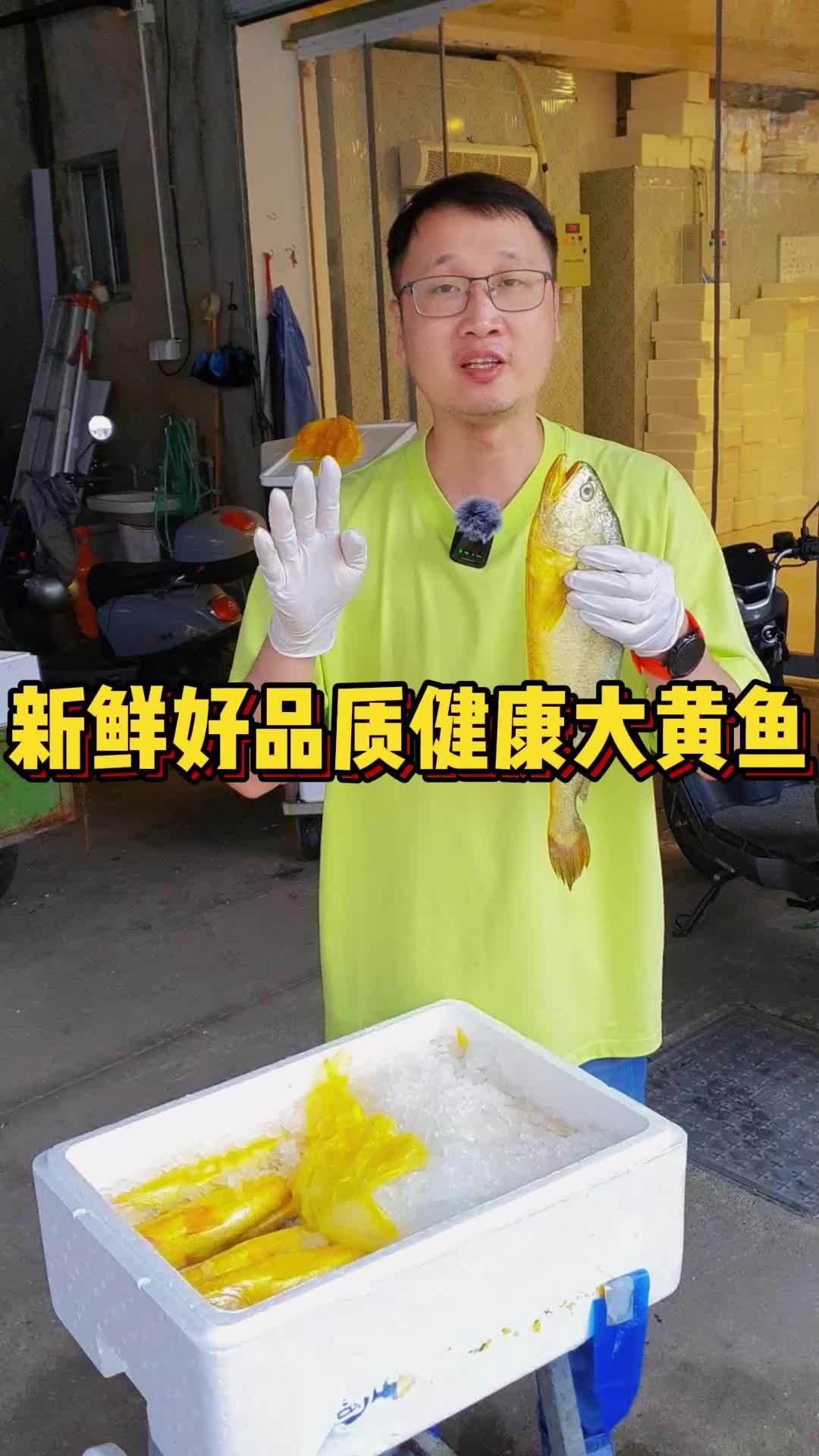 有机无抗大黄鱼,和普通大黄鱼有什么区别
