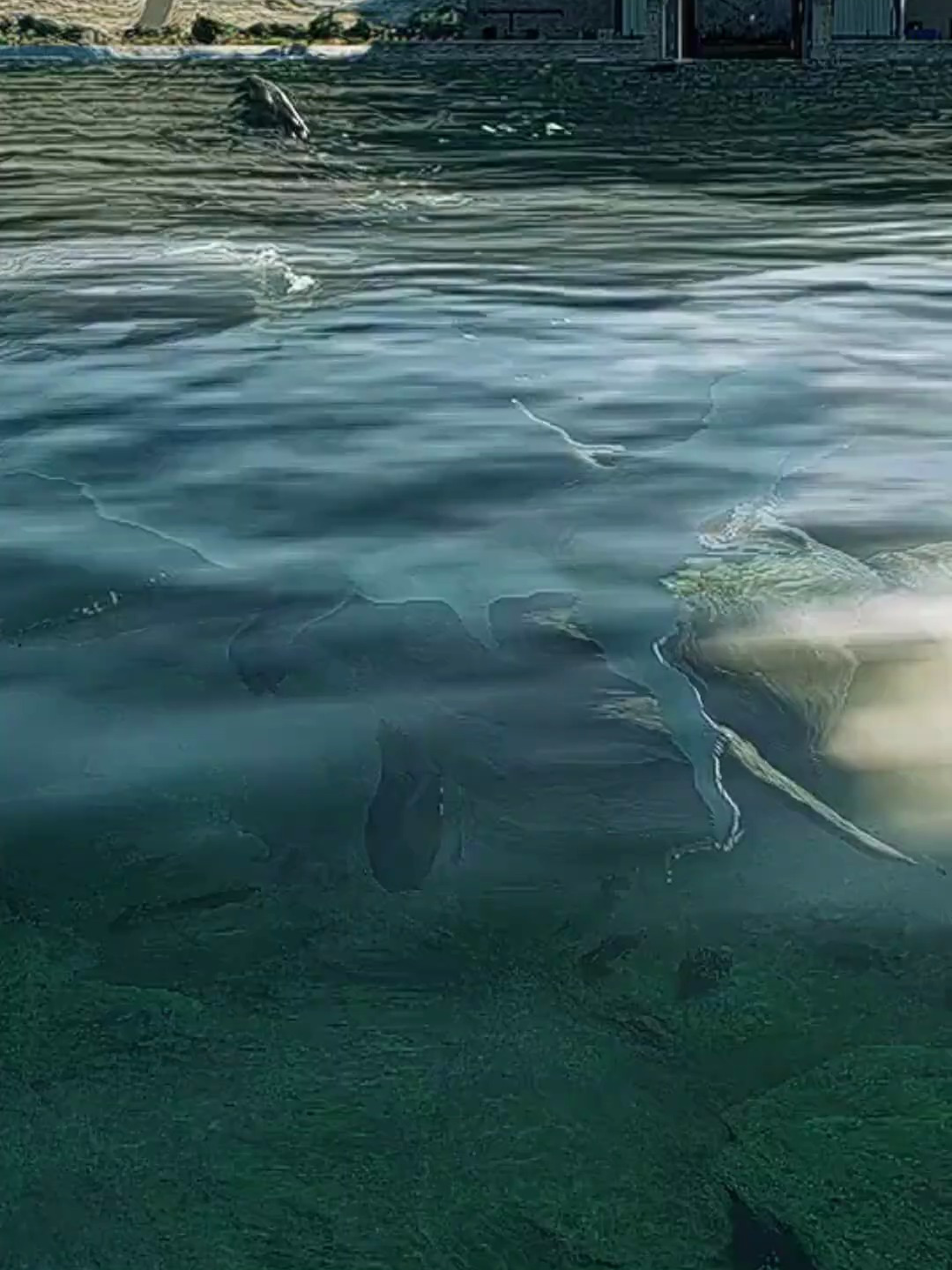 侏罗纪世界进化2:沧龙攻击邓氏鱼