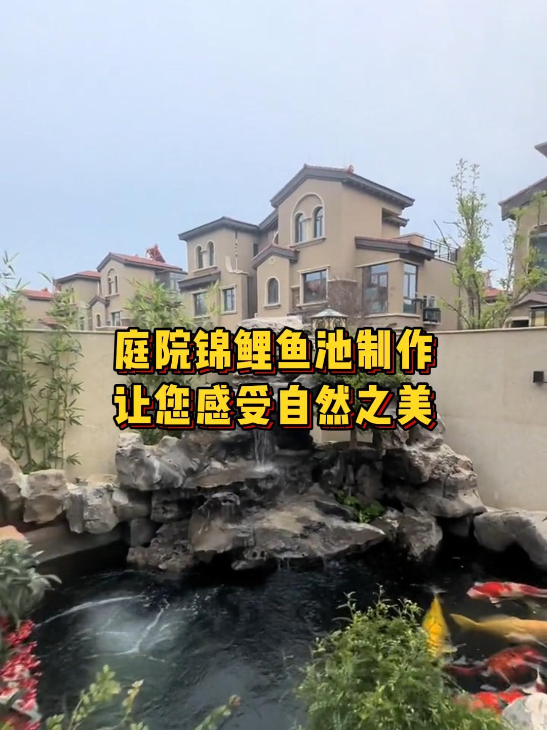建造一个这样的锦鲤鱼池,为你的院子增添一份独特的魅力