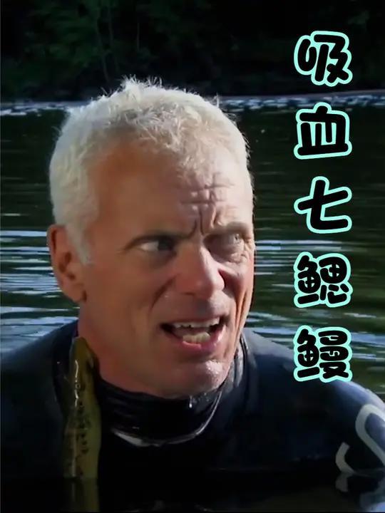 以吸血为生的恐怖七鳃鳗,传出攻击人类的消息!