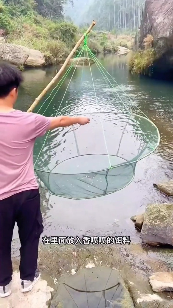 一网下去收获一网大鱼!有没有用过大台网的朋友一起分享分享!