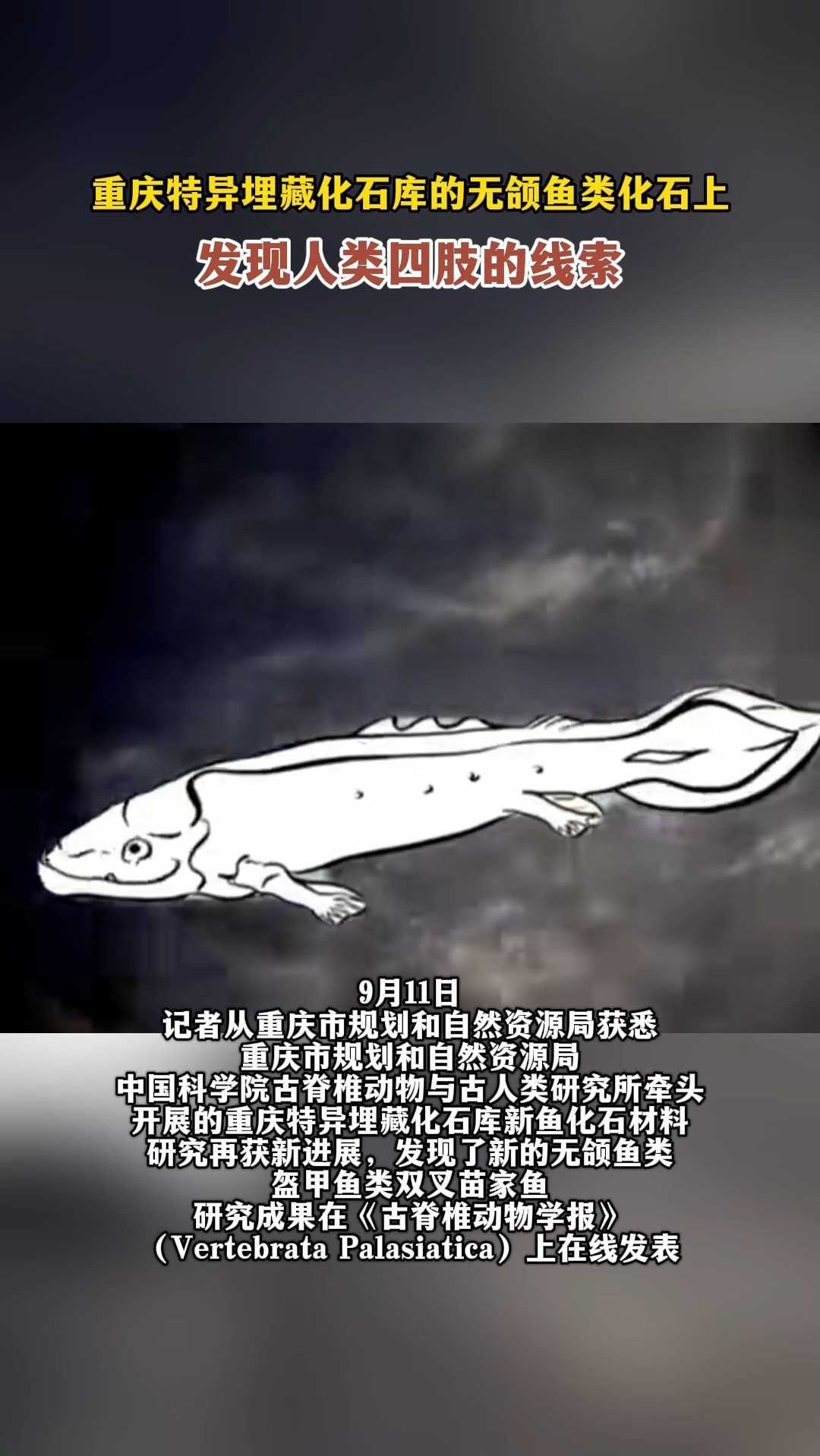 重庆特异埋藏化石库的无颌鱼类化石上,发现人类四肢的线索