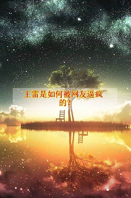 王雷是如何被网友逼疯的?