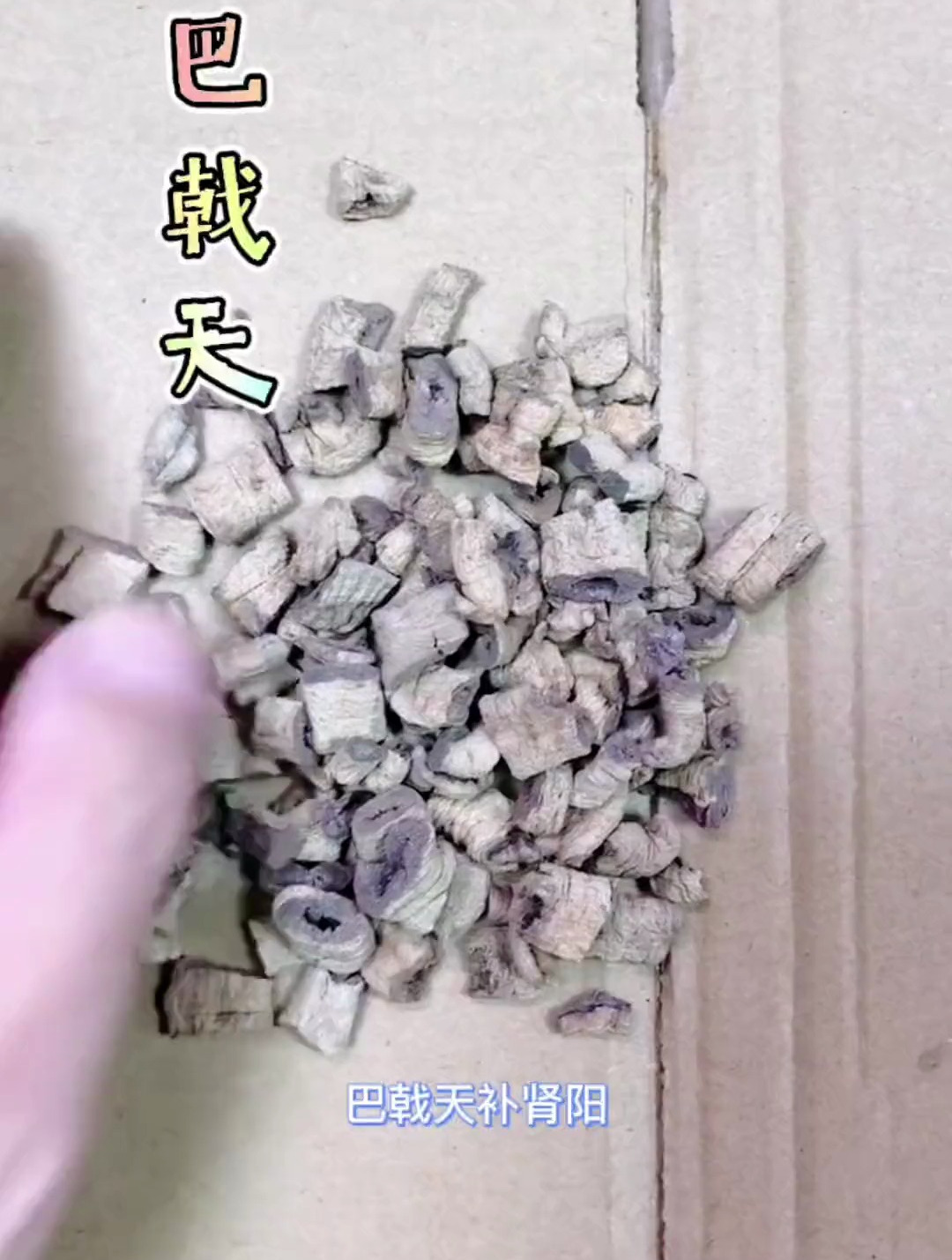医学科普 巴戟天 壮腰膝