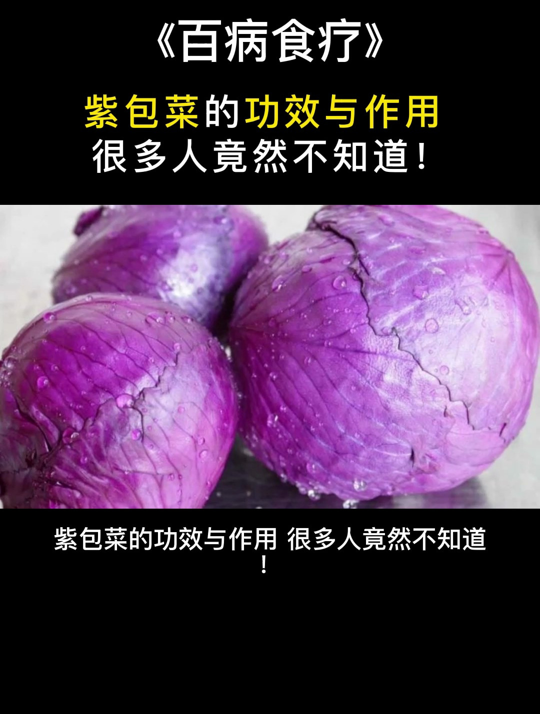 食疗:紫包菜的功效与作用,很多人竟然不知道!