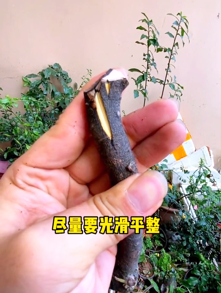 这样的靠接是不是给你省了不少时间?这样的方法你想学习吗?