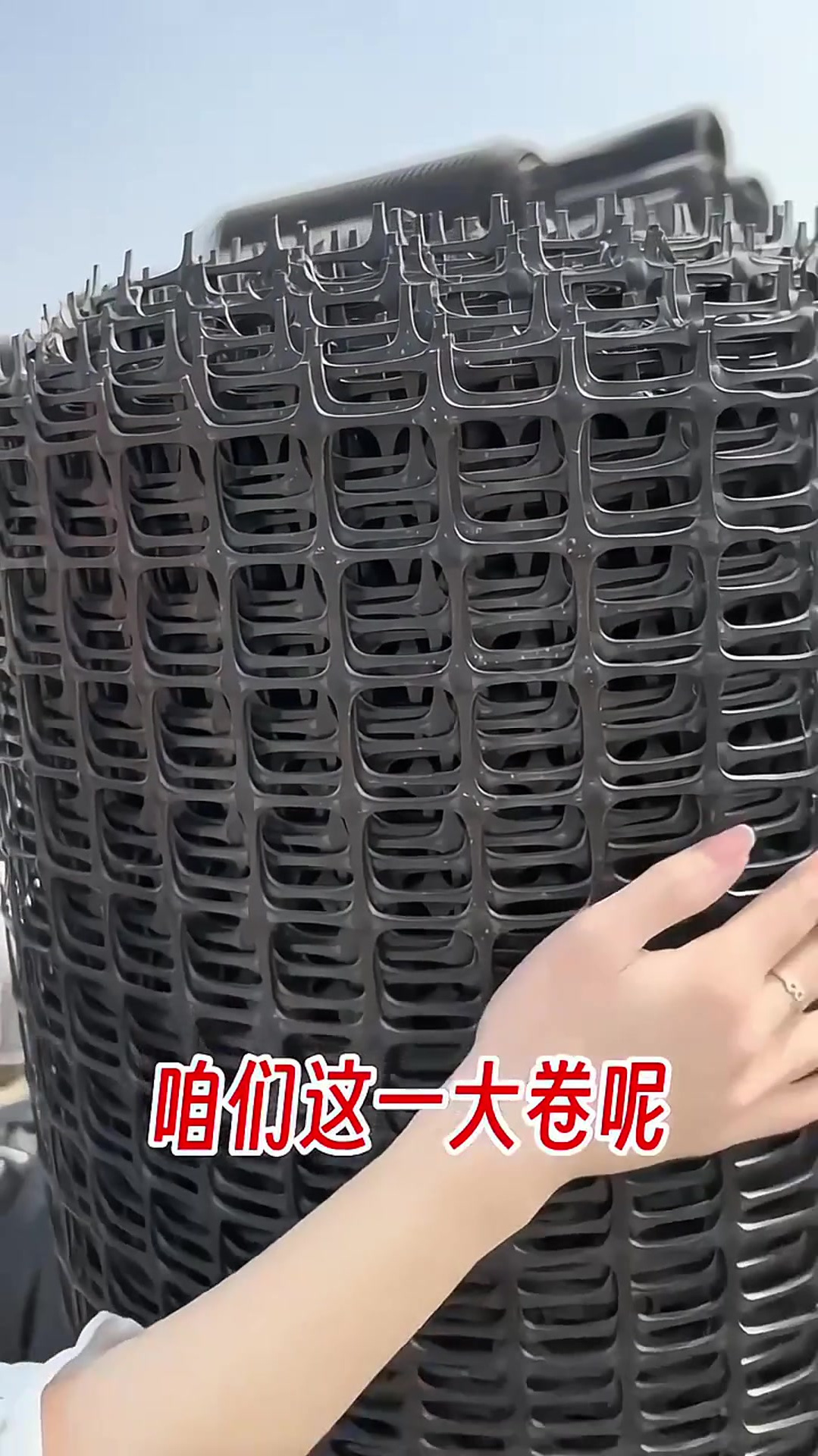 塑料围栏网养殖养鸡鸭塑料网养鸡网果园围栏防护网特厚新款鸡网