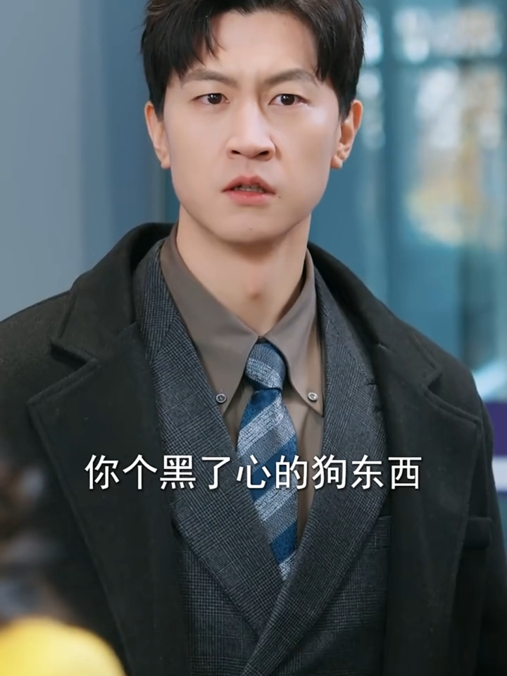投我以木桃,报之以琼瑶 27