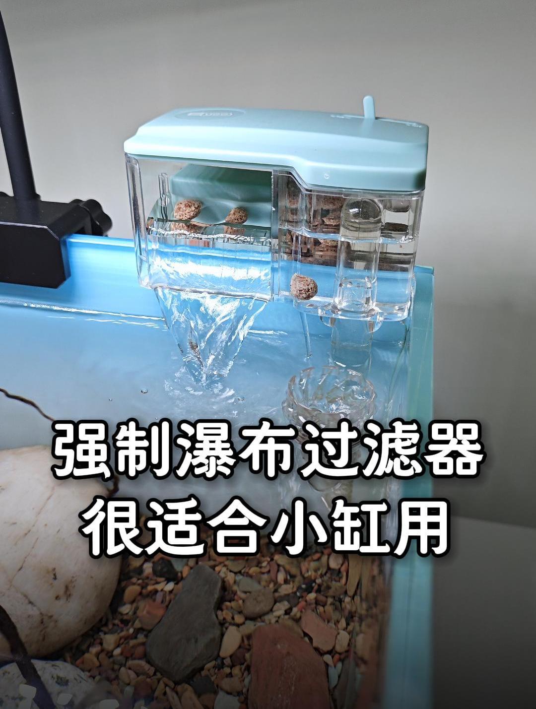 玩造景的小型鱼缸,用这种带强制模块的瀑布过滤,就很合适